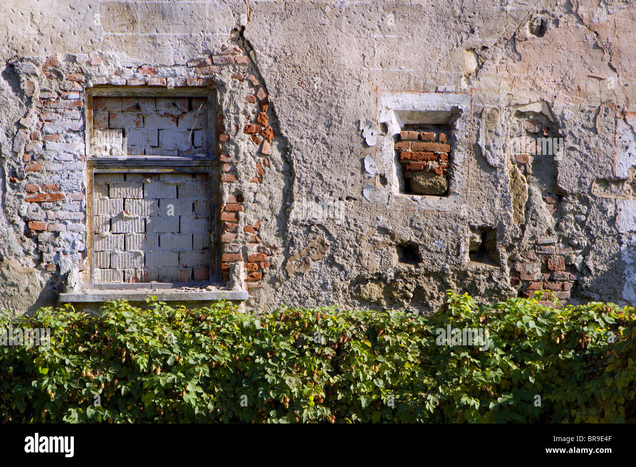 Tag der offenen Tür Stockfoto