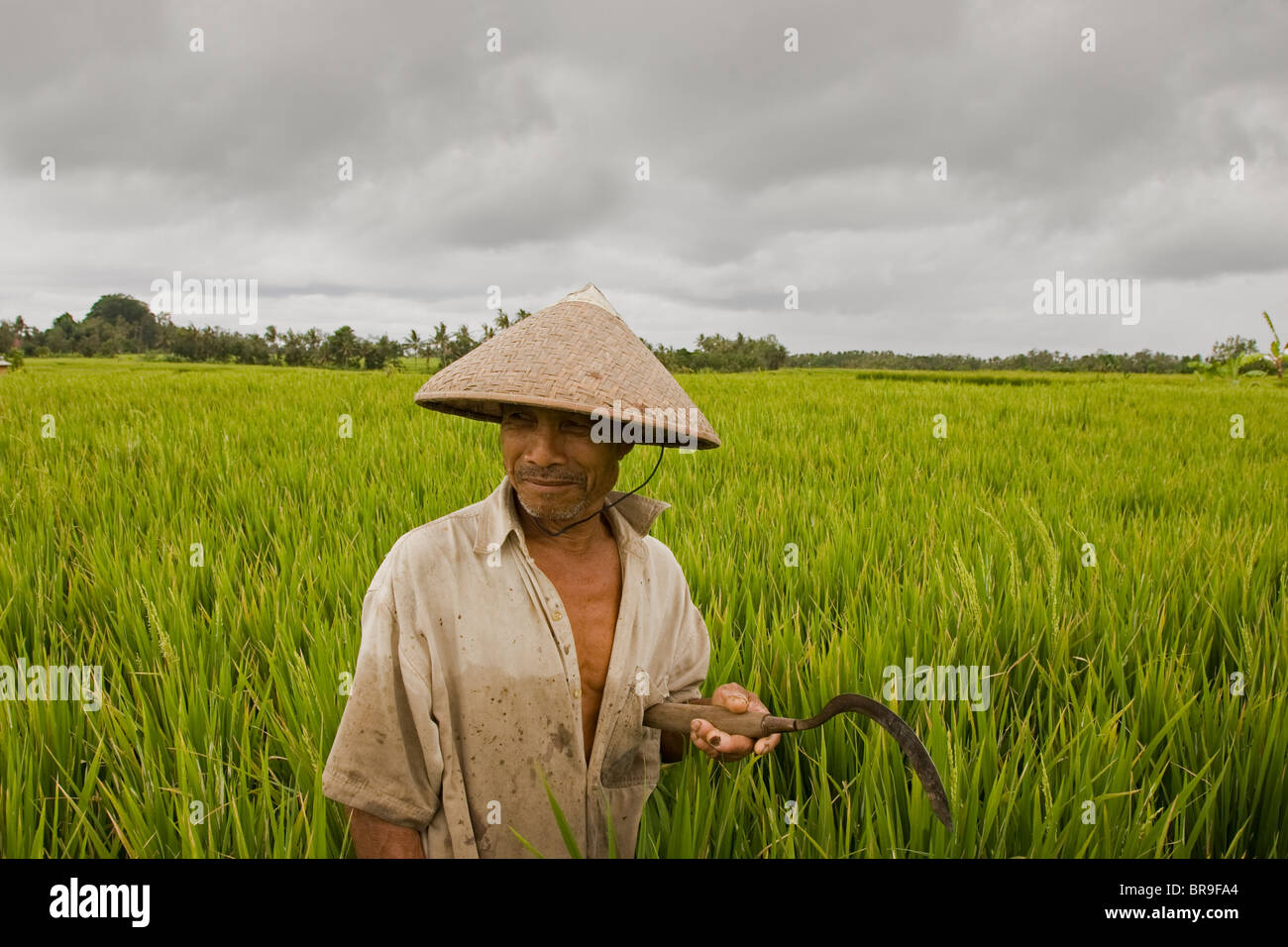 Ein Mann hält seine Sense in seinem Reisfeld in Indonesien. Stockfoto