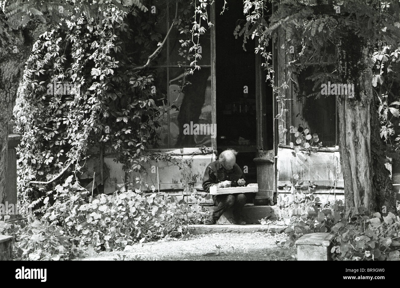 Mann schälen Erbsen im ländlichen Frankreich in 1980er Jahren Stockfoto