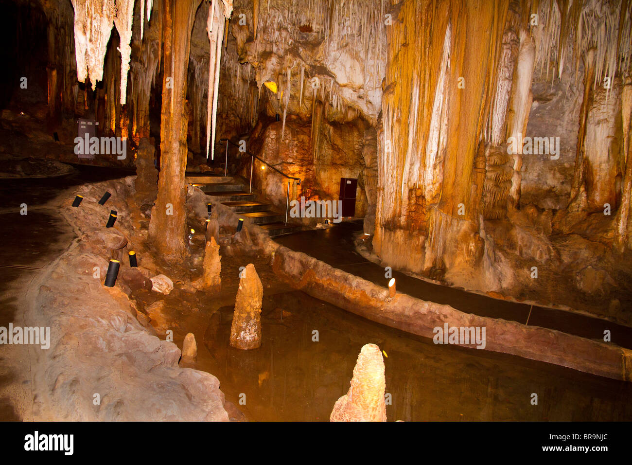 Tantanoola Höhle in Südaustralien Stockfoto