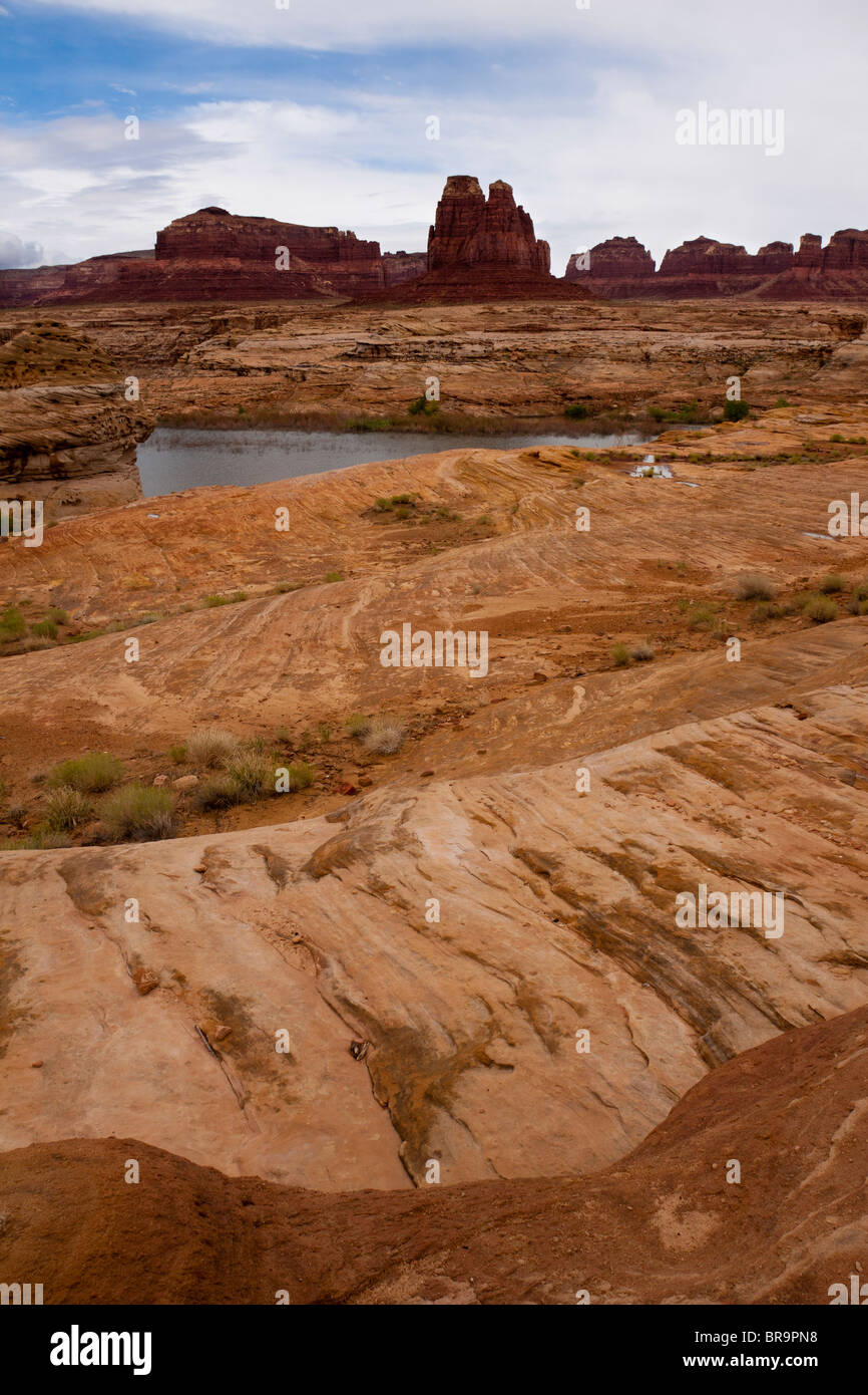 Dramatische wirbelnden orange Felsformationen und roten Buttes an der Spitze des Lake Powell im südlichen Utah, USA Stockfoto