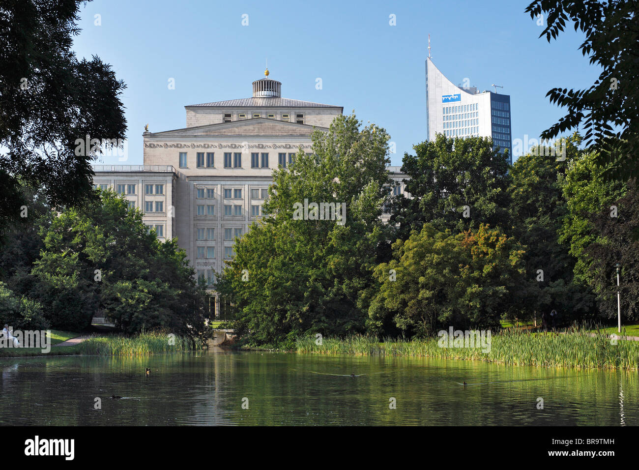 Bin schwanenteich Stockfotos und bilder Kaufen Alamy