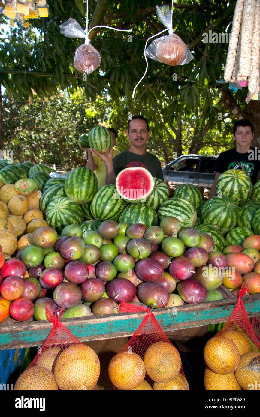 Am Straßenrand Obst stehen in der Nähe von Caldera, Costa Rica. Stockfoto