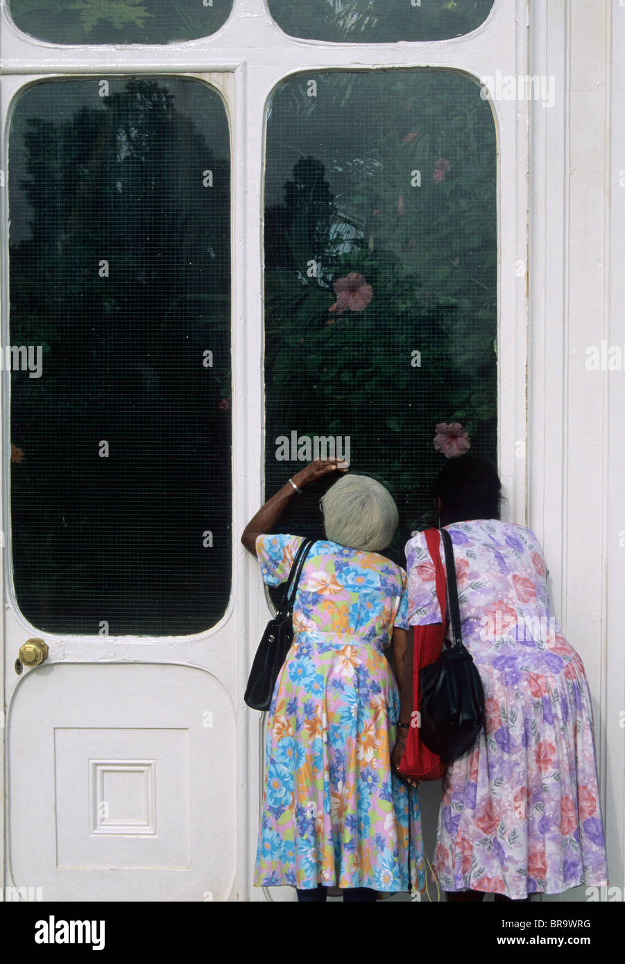 zwei Frauen, die durch die Türfenster von einem Gewächshaus - Kew Gardens - London suchen Stockfoto