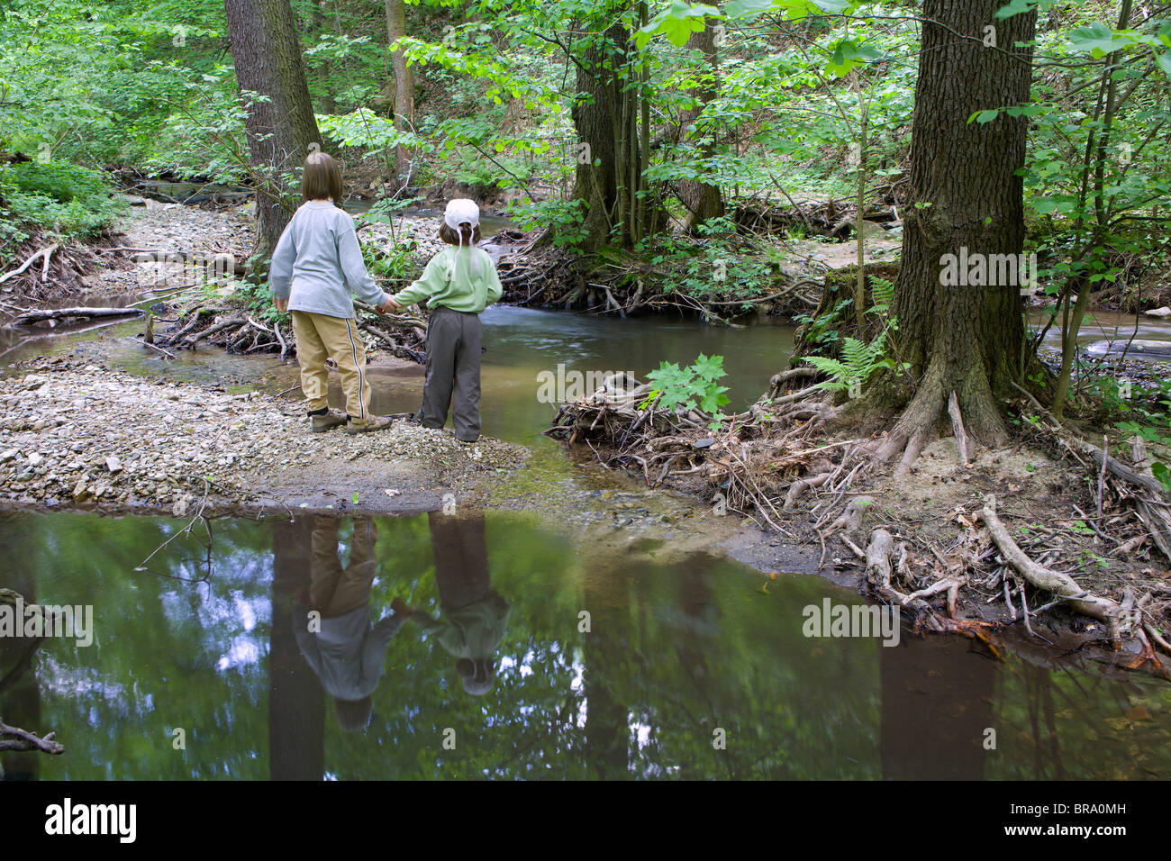 Kinder durch den Wald Bach Stockfoto