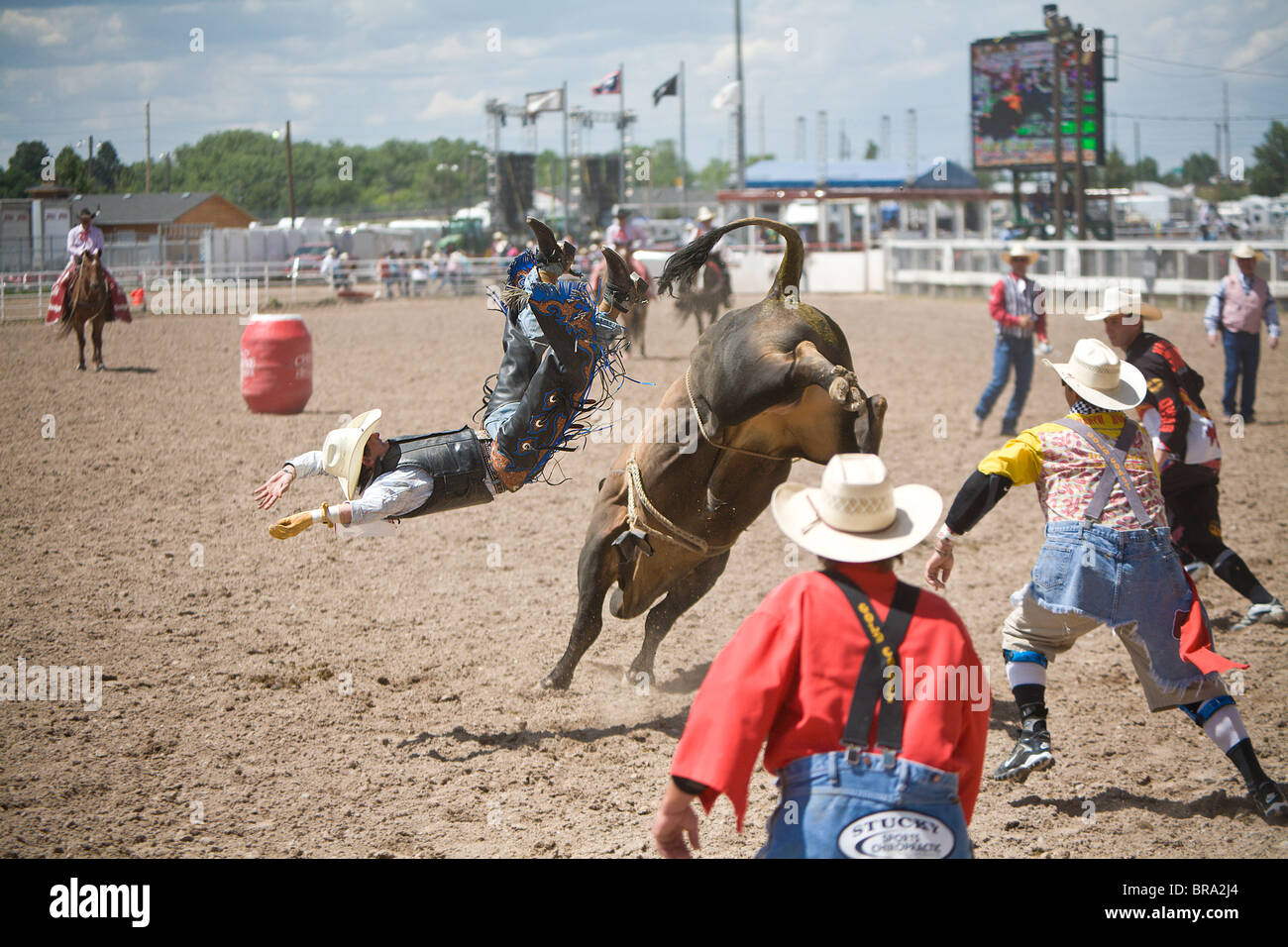 Rodeo Reiter Cole Echols, der Bulle geworfen war er in der 2009 Cheyenne Wyoming Frontier Tage Rodeo Reiten. Stockfoto