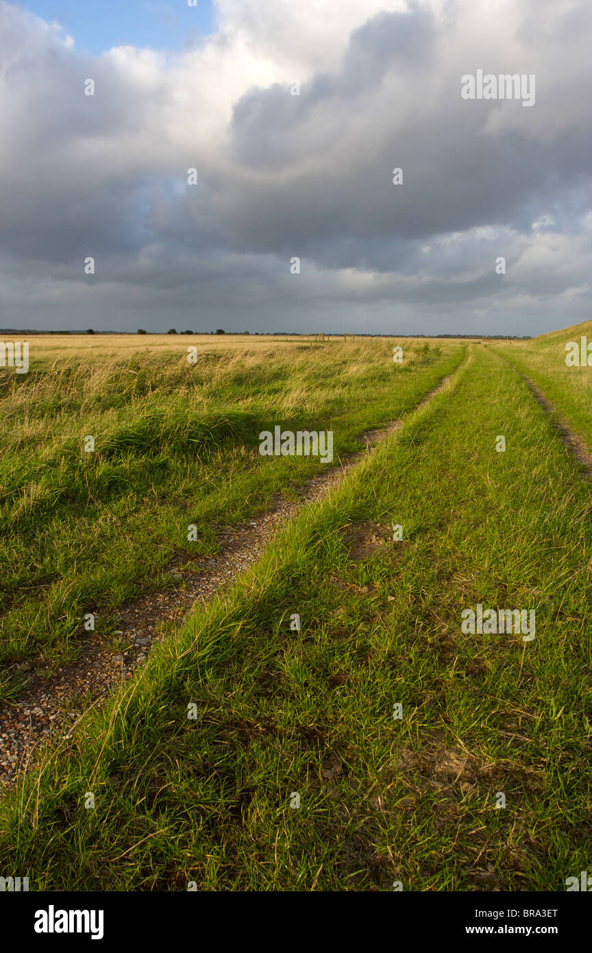 stürmisches Wetter, Berney Arme Trail, Sumpf, Great Yarmouth, Norfolk, Großbritannien Stockfoto