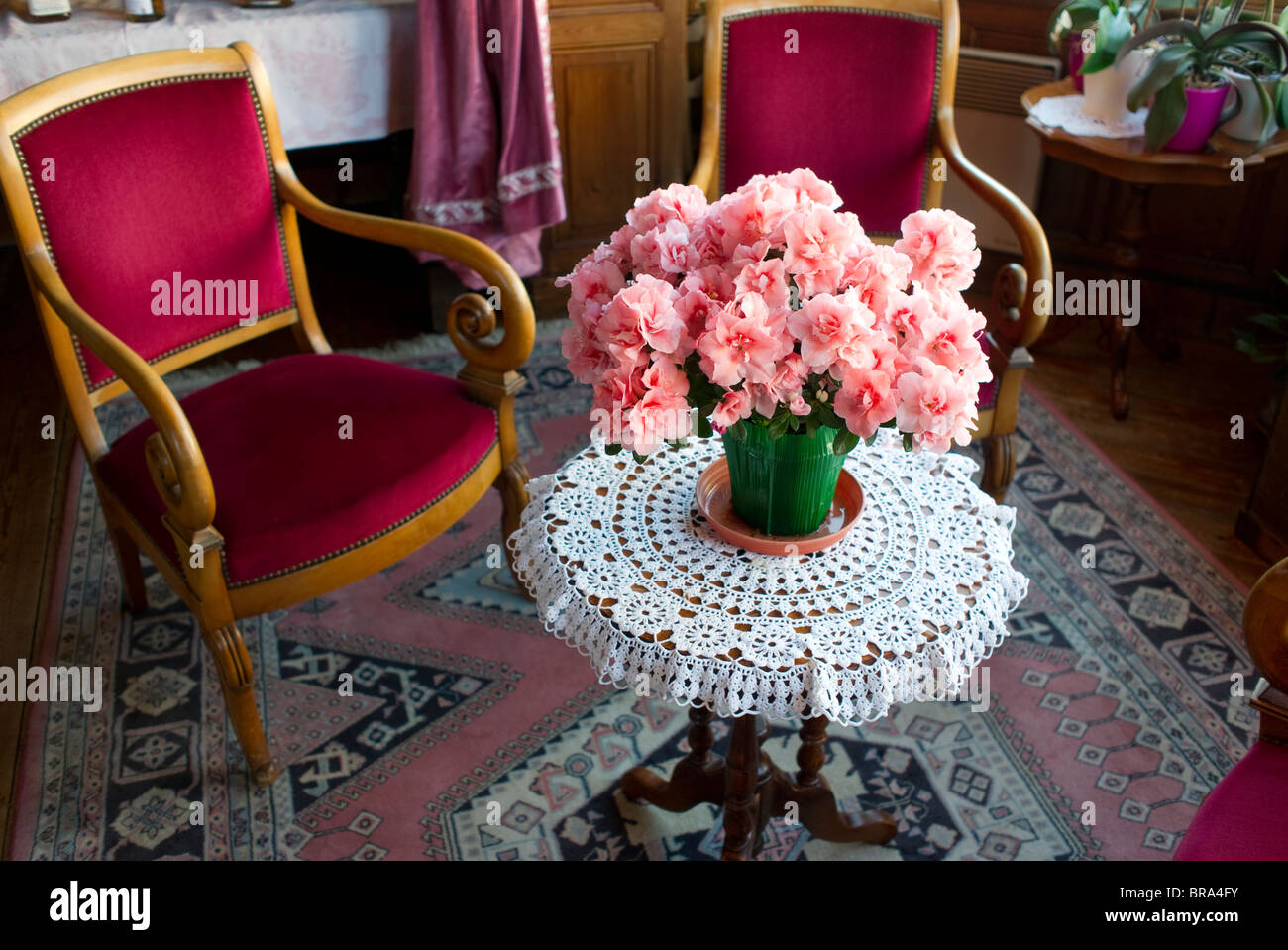 rosa Blüten in einem roten alten Mode Wohnzimmer Stockfoto