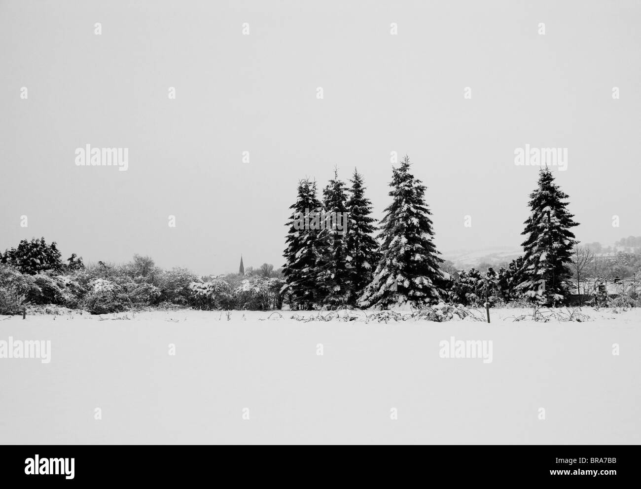 Schwarz / weiß Bild von Bäumen und entfernten Gebäuden im Schnee. Stockfoto