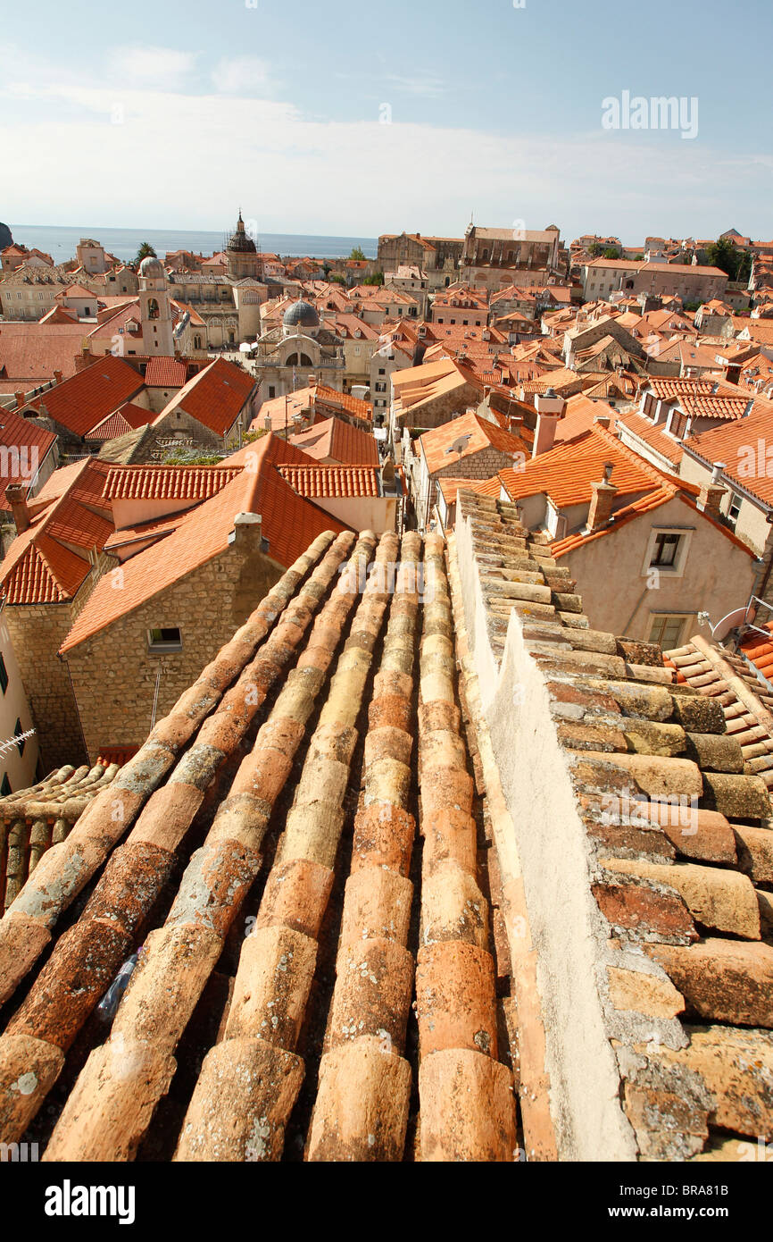 Rote Ziegeldächer in Dubrovnik, Kroatien Stockfoto