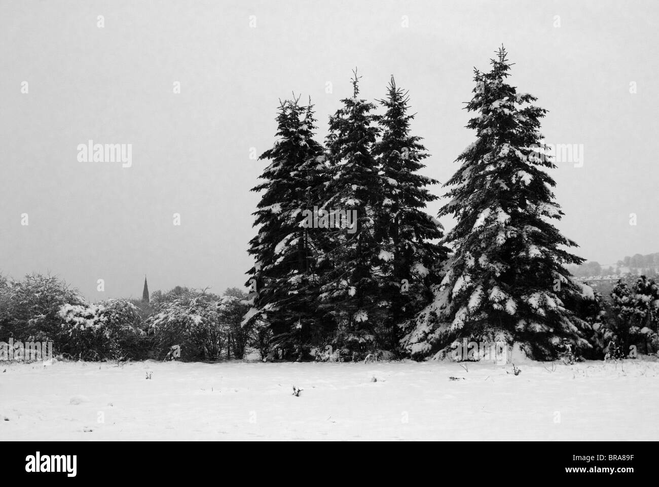 Schwarz und weiß, Turm immergrüne Bäume im Schnee, mit Kirche in Ferne. Stockfoto