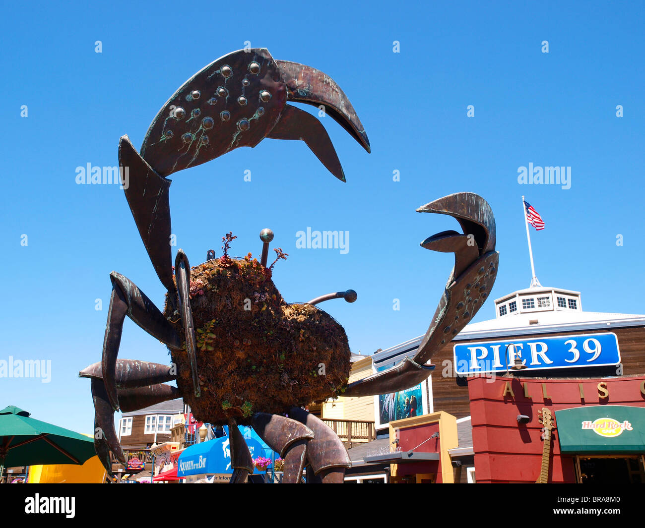 Riesenkrabbe Bildhauerei am Pier 39 Fishermans Wharf San Francisco Kalifornien USA Stockfoto