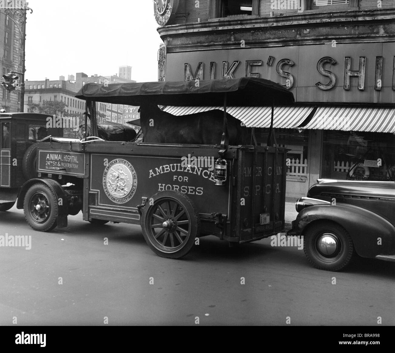 1940ER JAHRE ASPCA AMBULANZ TRÄGT EINE KRANKEN PFERD ECKE BROADWAY UND 66TH STREET IN NEW YORK CITY Stockfoto