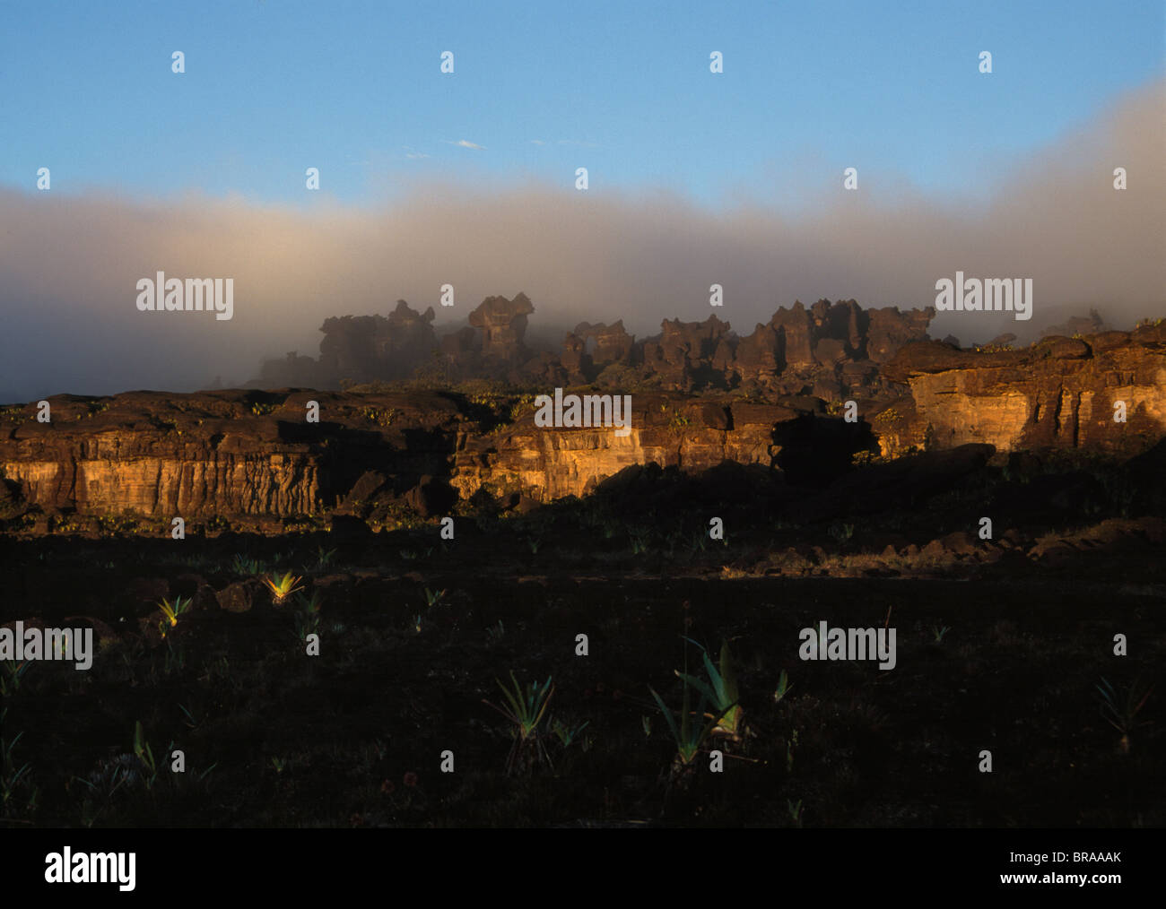 Rock-Formen in ein Labyrinth, Gipfel von Mount Roraima, Brasilien Sektor, Bundesstaat Roraima, Brasilien, Südamerika Stockfoto