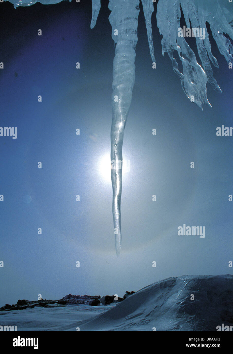 N-21509 Sonnenlicht hinter Eiszapfen, Antarktis Stockfoto