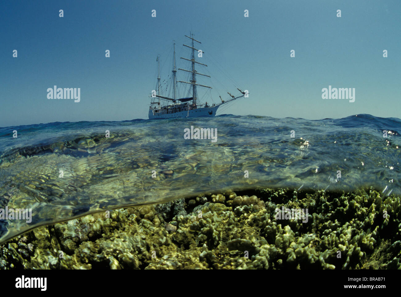 Quadratischen Sie Rigger "Amorina", Rotes Meer. Stockfoto