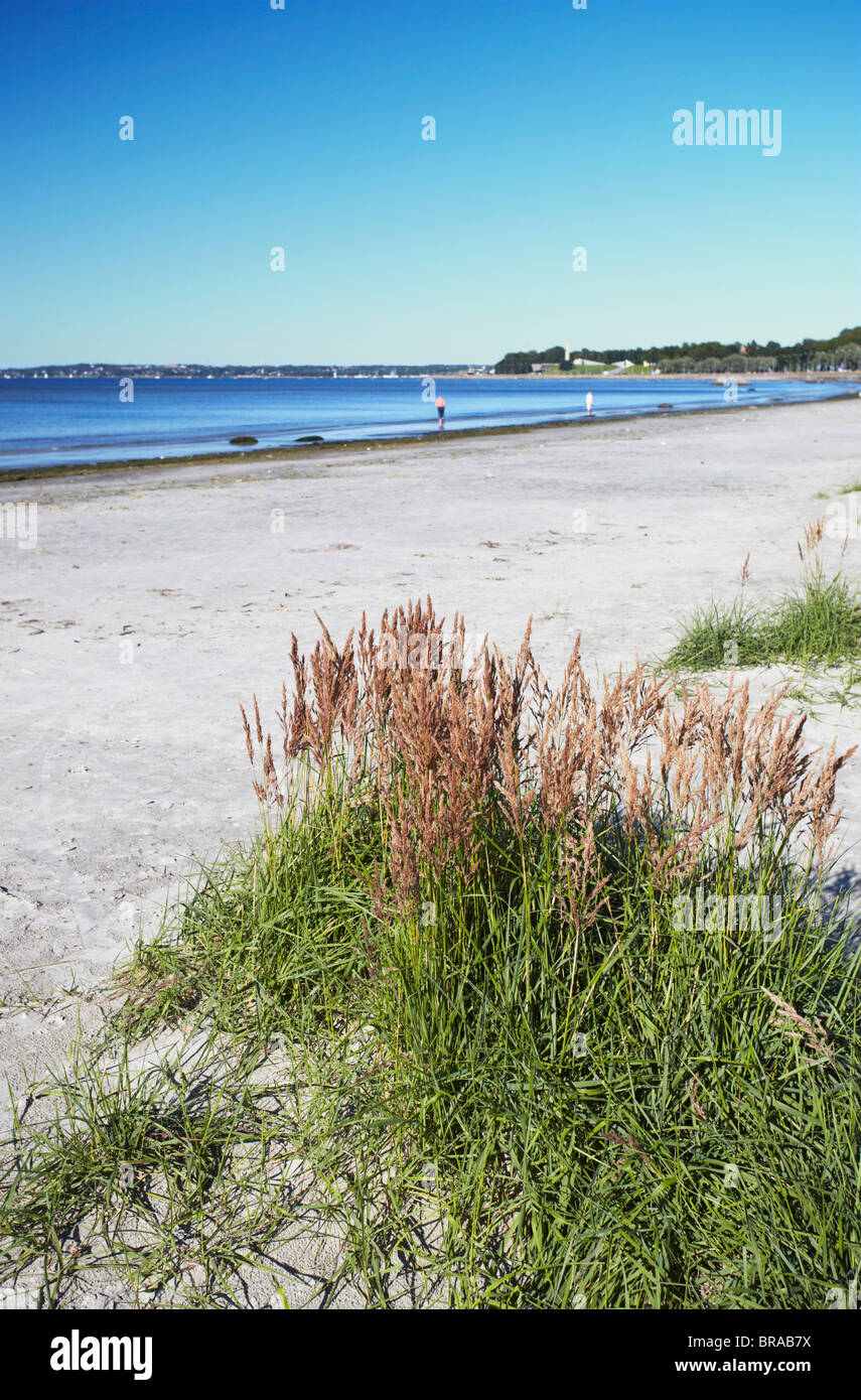 Pirita Strand, Tallinn, Estland, Baltikum, Europa Stockfoto