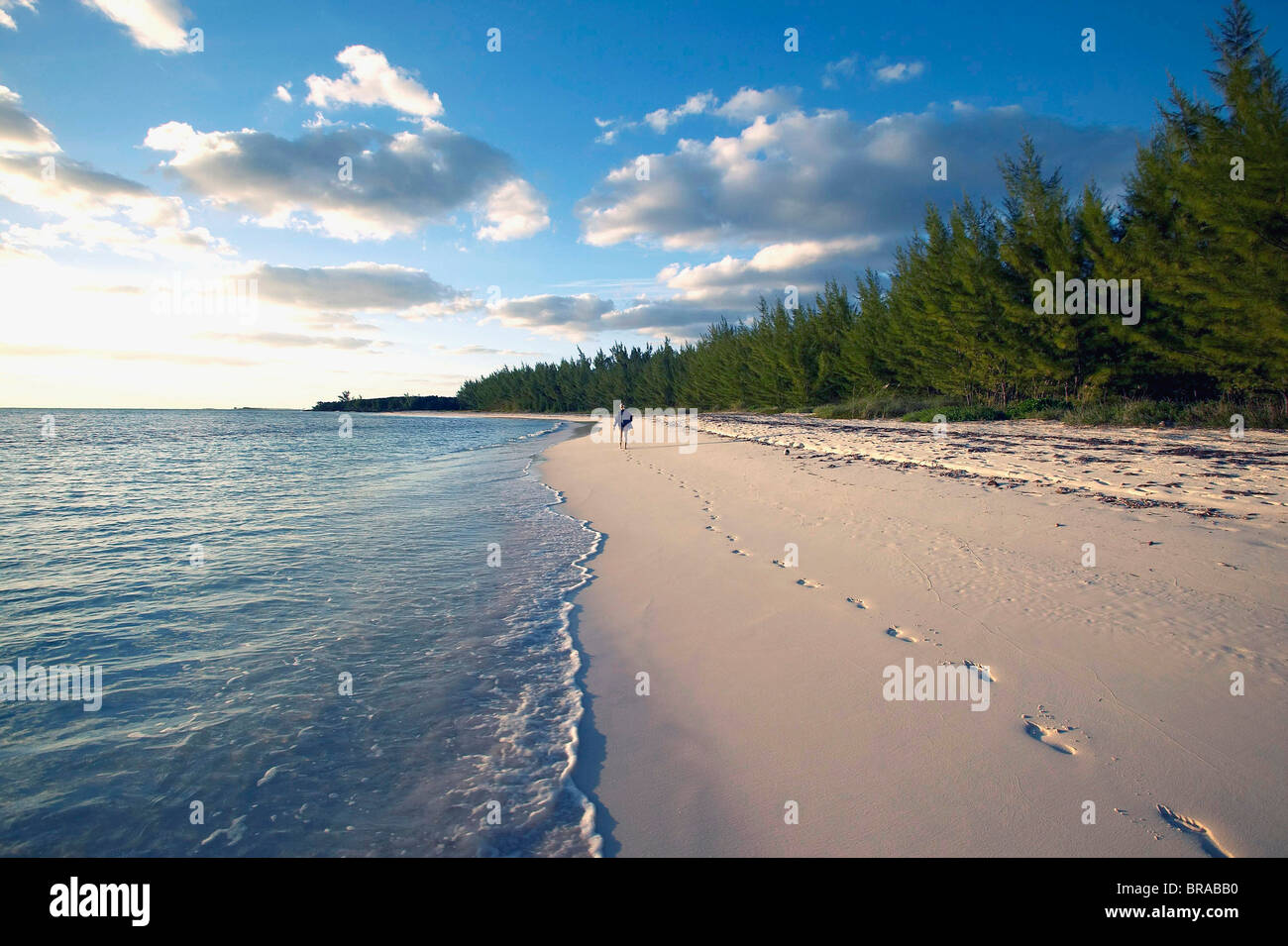 Person zu Fuß am Strand in der Abacos Inseln, Bahamas. -Modell veröffentlicht. Stockfoto