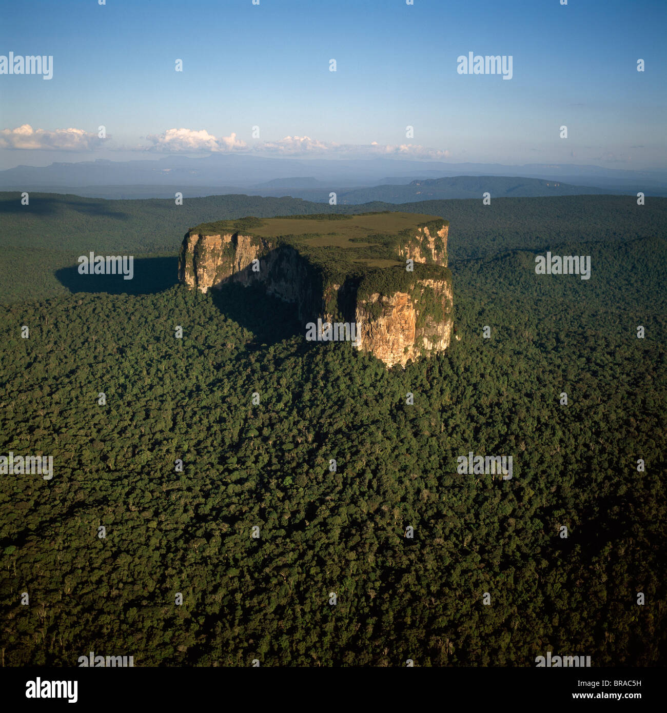Luftaufnahme von Ayangaik Berg, Upper Mazaruni District, Guyana, Südamerika Stockfoto