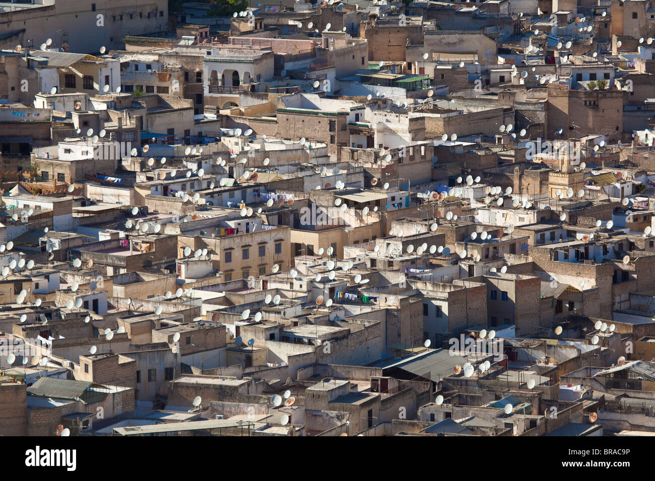 Satellitenschüssel in Fez, Marokko Stockfoto