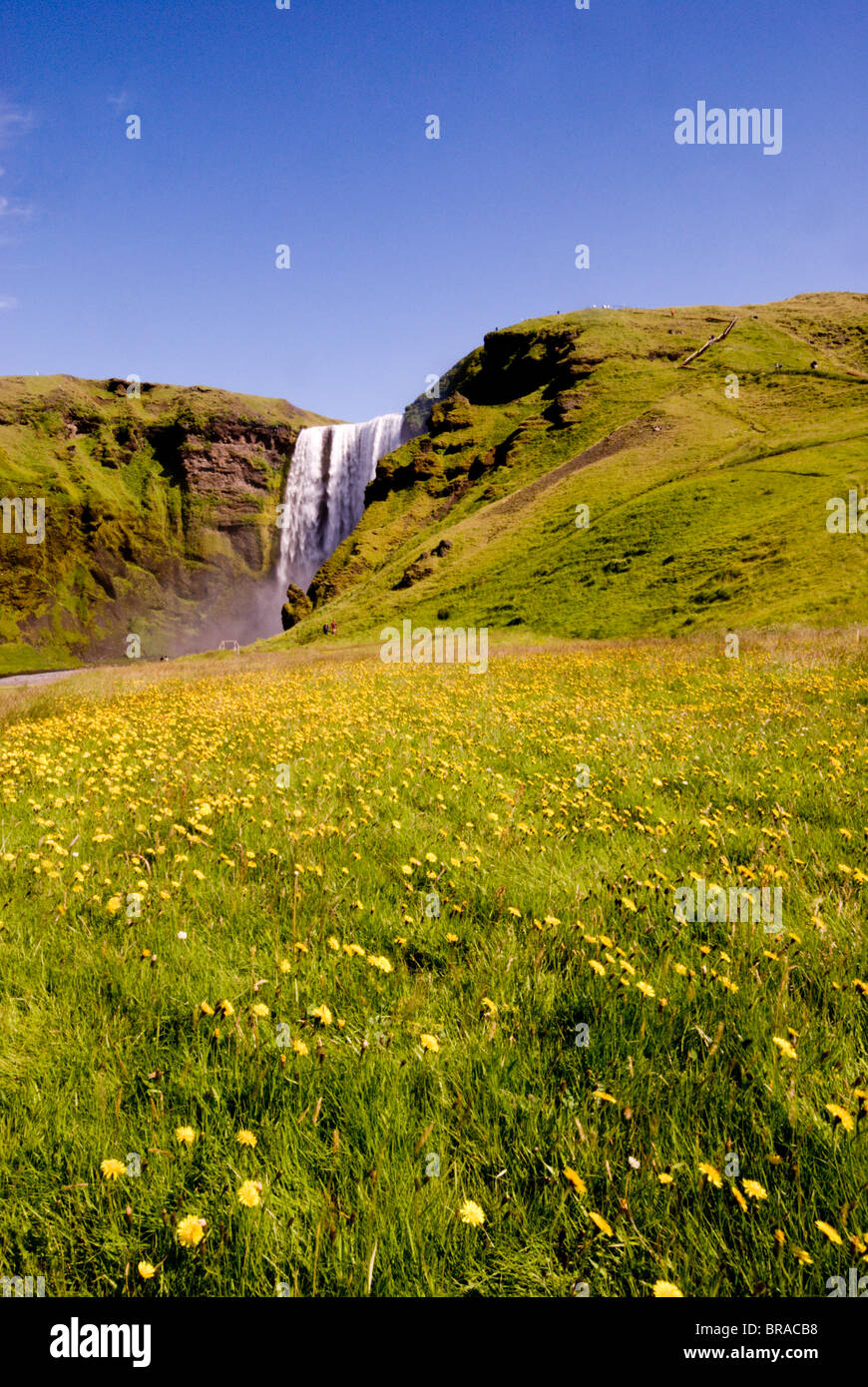 Skogarfoss Wasserfälle, Southern Island, Polarregionen Stockfoto