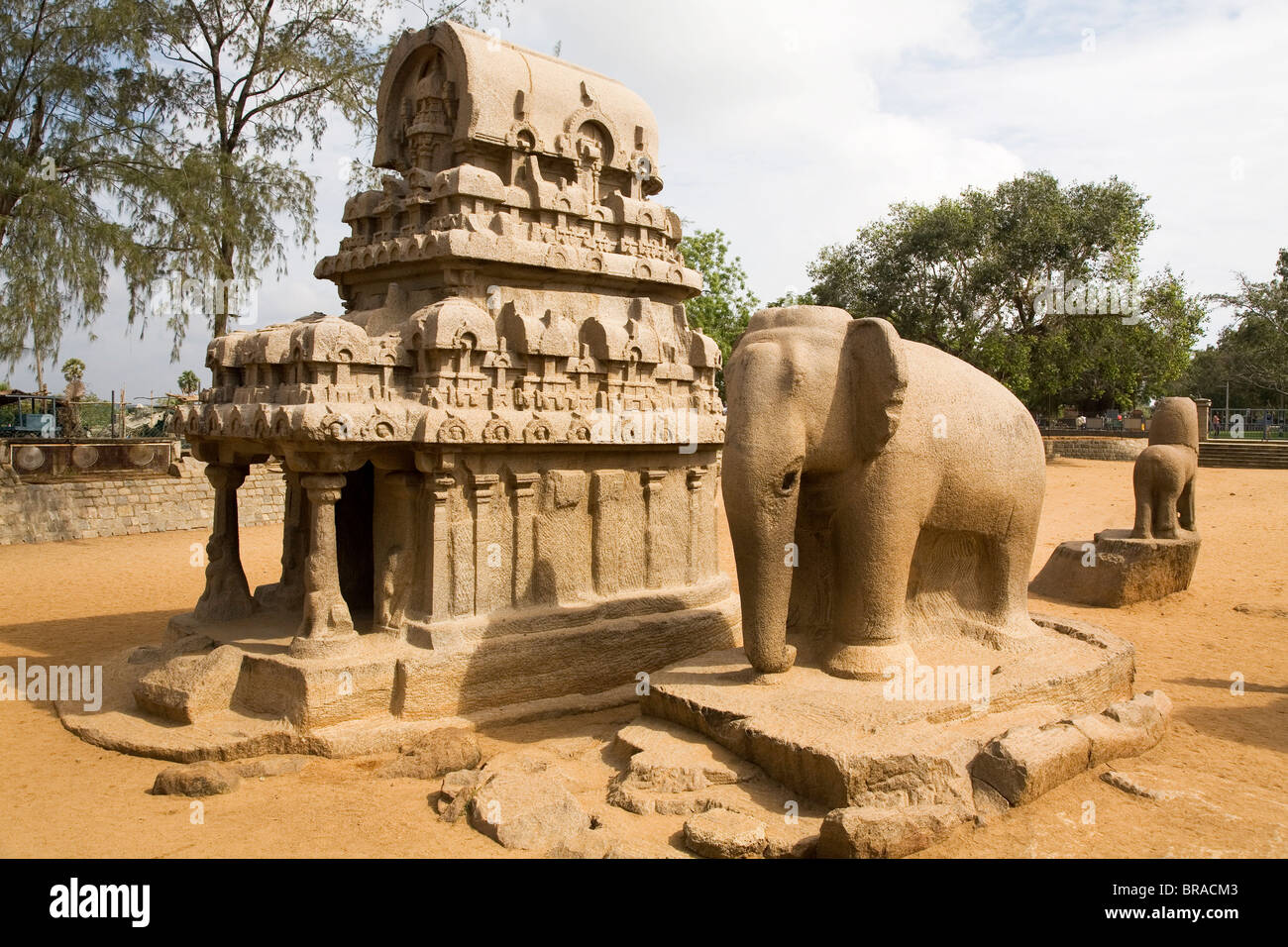 Nakul Sahdeva Ratha in der fünf Rathas (Panch Rathas) Anlage in Mahabalipuram (Mamallapuram), UNESCO, Tamil Nadu, Indien Stockfoto Nakul Sahdeva Ratha in der fünf Rathas (Panch Rathas) Anlage in Mahabalipuram (Mamallapuram), UNESCO, Tamil Nadu, Indien Stockfoto