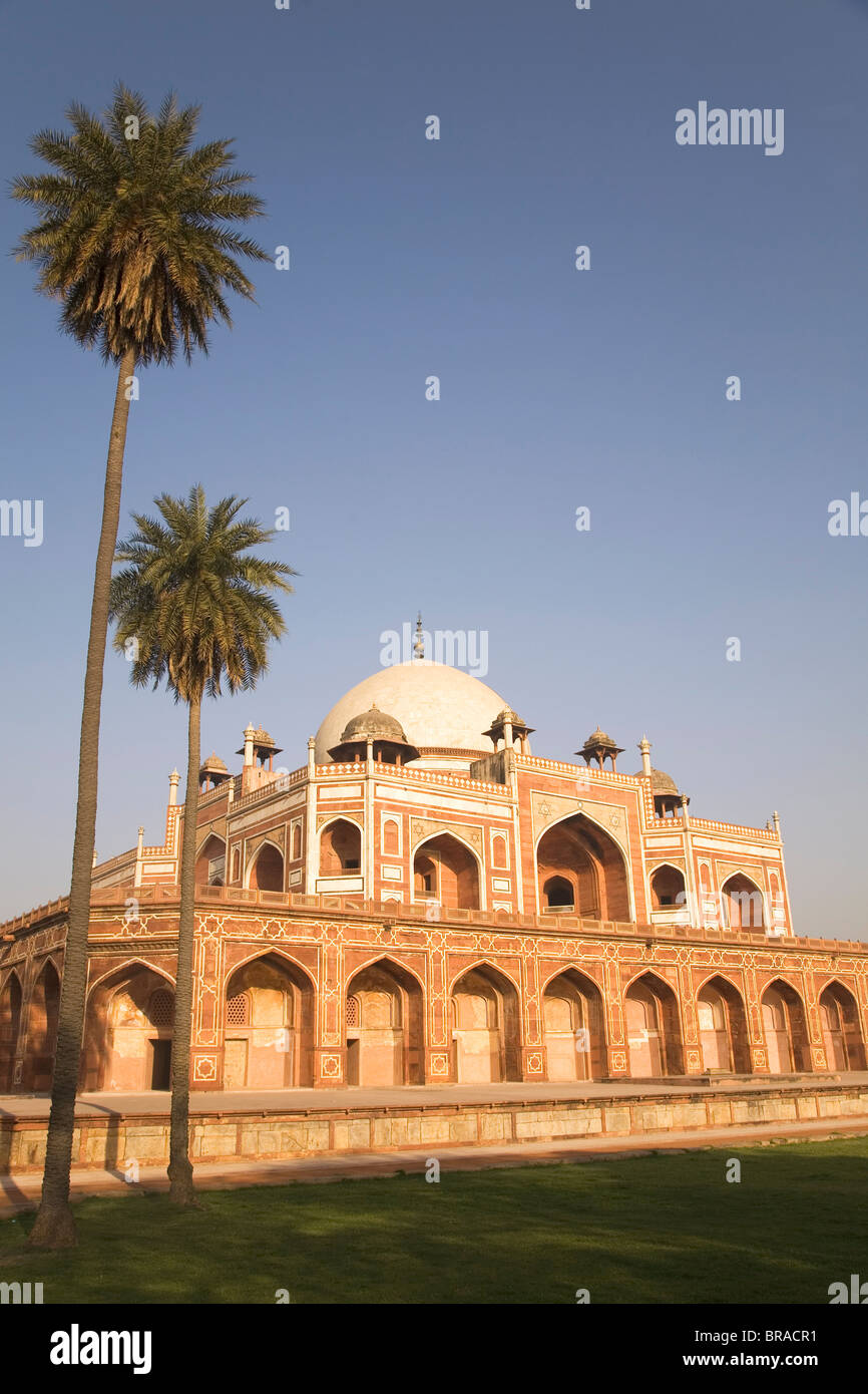 Palmen Sie neben das früheste Beispiel von Mughal Architektur, Humayun Grab, UNESCO World Heritage Site, Delhi, Indien, Asien Stockfoto Palmen Sie neben das früheste Beispiel von Mughal Architektur, Humayun Grab, UNESCO World Heritage Site, Delhi, Indien, Asien Stockfoto