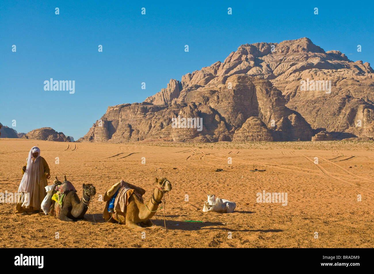 Beduinen mit seinen Kamelen in die atemberaubende Landschaft des Wadi Rum, Jordanien, Naher Osten Stockfoto