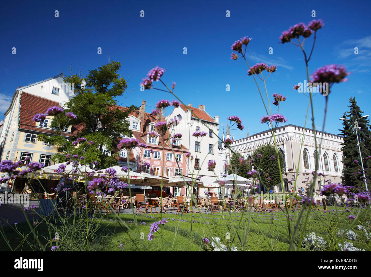 Restaurants und Cafés in Livu Laukums, Riga, Lettland, Baltikum, Europa Stockfoto