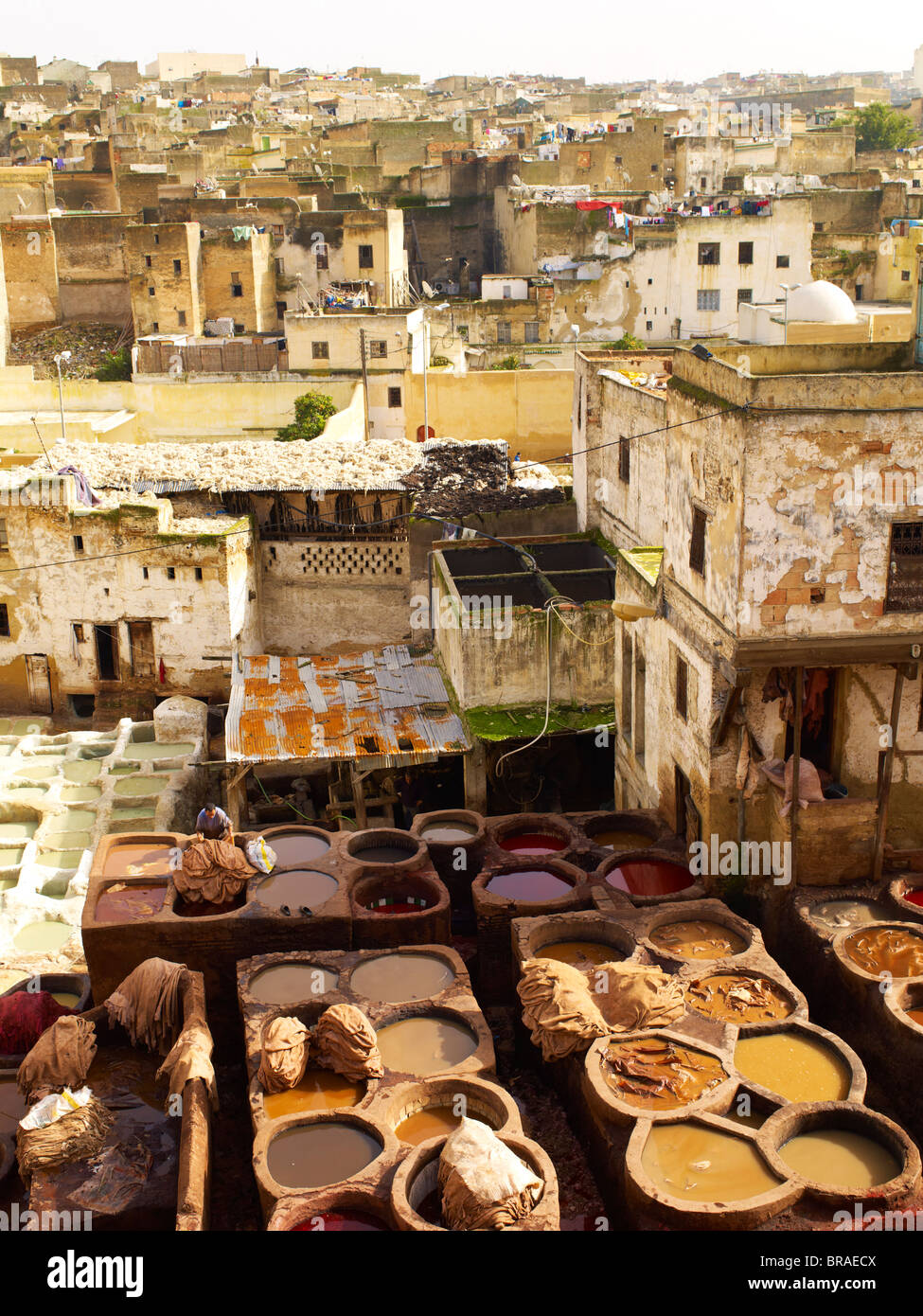 Gerberei, Fez, Marokko, Nordafrika, Afrika Stockfoto