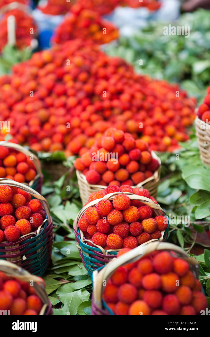 Arbutus in einem Obstladen, Medina, Fez, Marokko, Nordafrika, Afrika Stockfoto