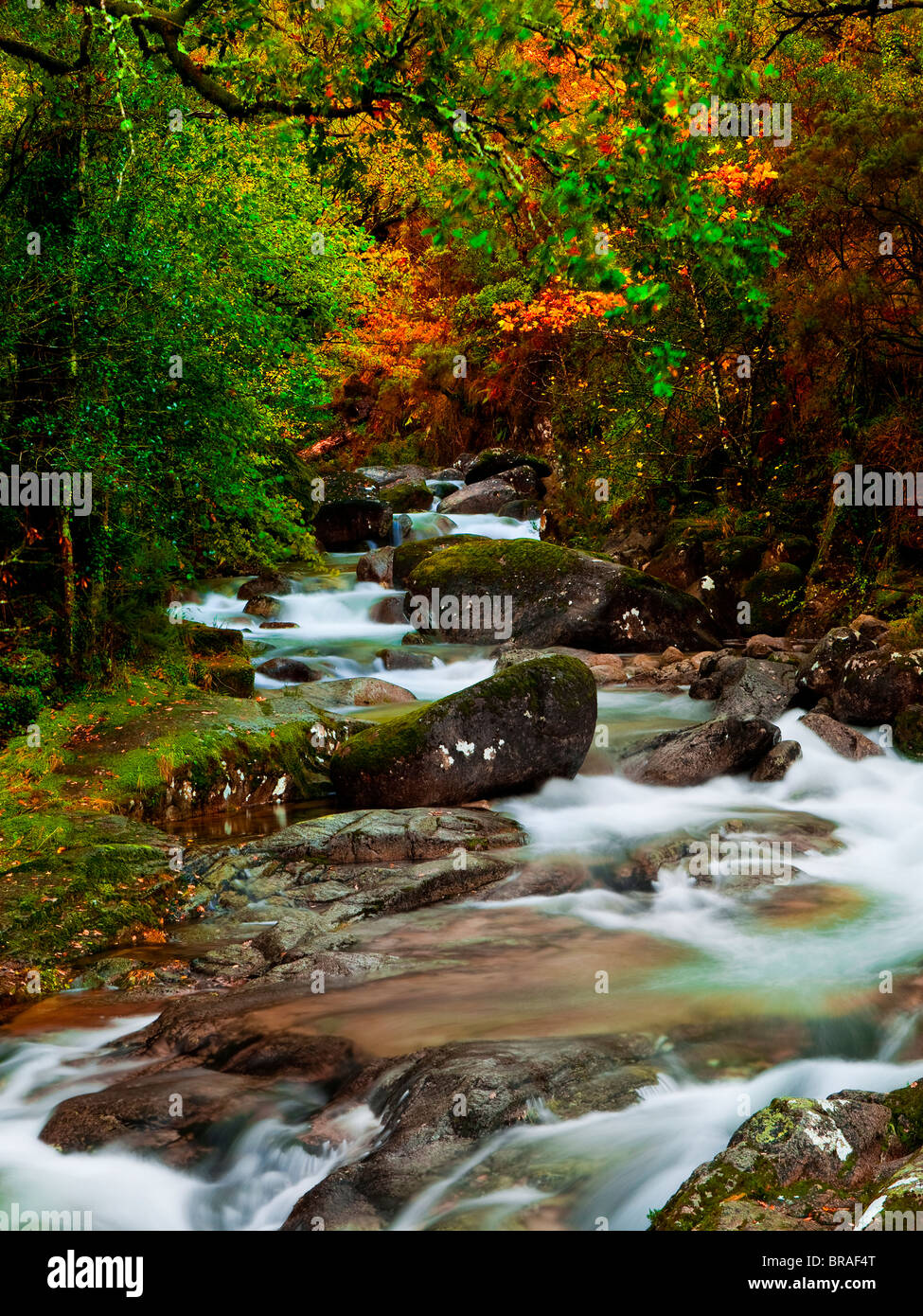Schönen Fluss fließt durch den Wald während der Herbst-Saison Stockfoto