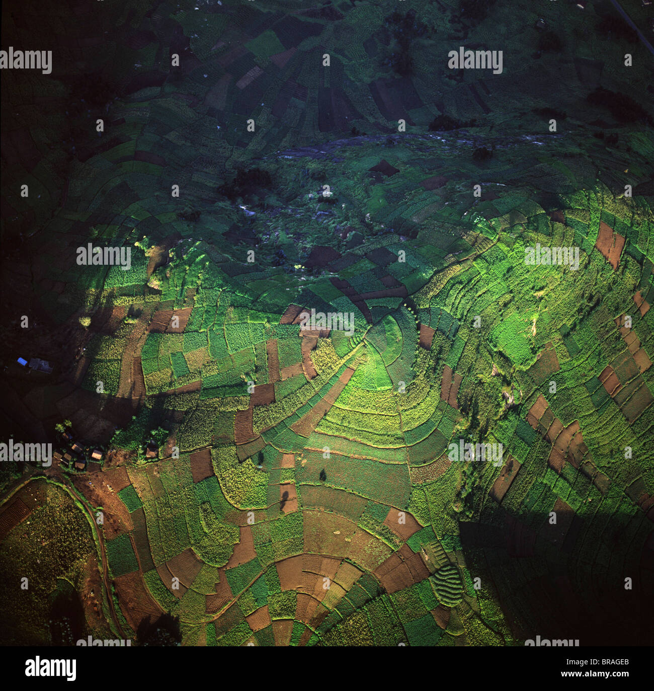 Luftaufnahme der intensiven Landwirtschaft in Ruanda, Afrika Stockfoto