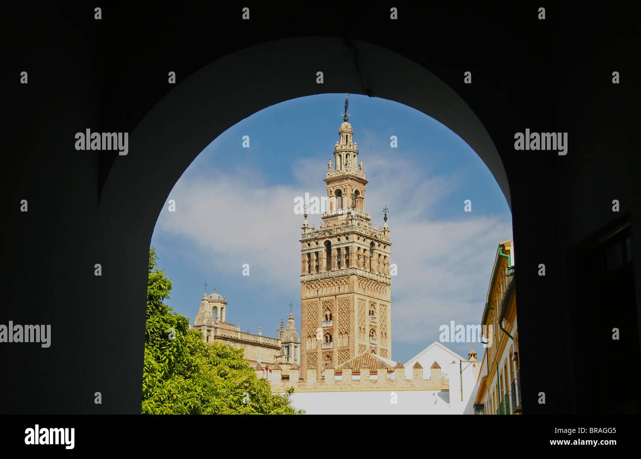 Spanien, Sevilla. Die Kathedrale von Sevilla, Kathedrale de Sevilla. Blick auf die Kathedrale und La Gironda, der Glockenturm Minarett. Stockfoto