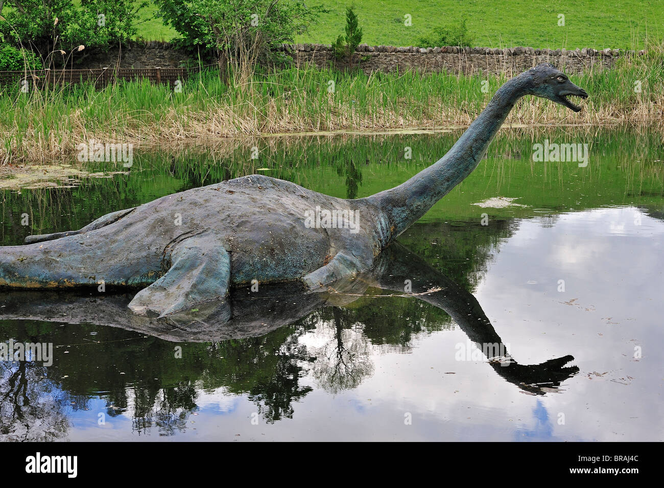 Rekonstruktion von Nessie, das Ungeheuer von Loch Ness, als ein Plesiosaurus im Teich vor dem Loch Ness Exhibition Centre, Drumnadrochit Stockfoto