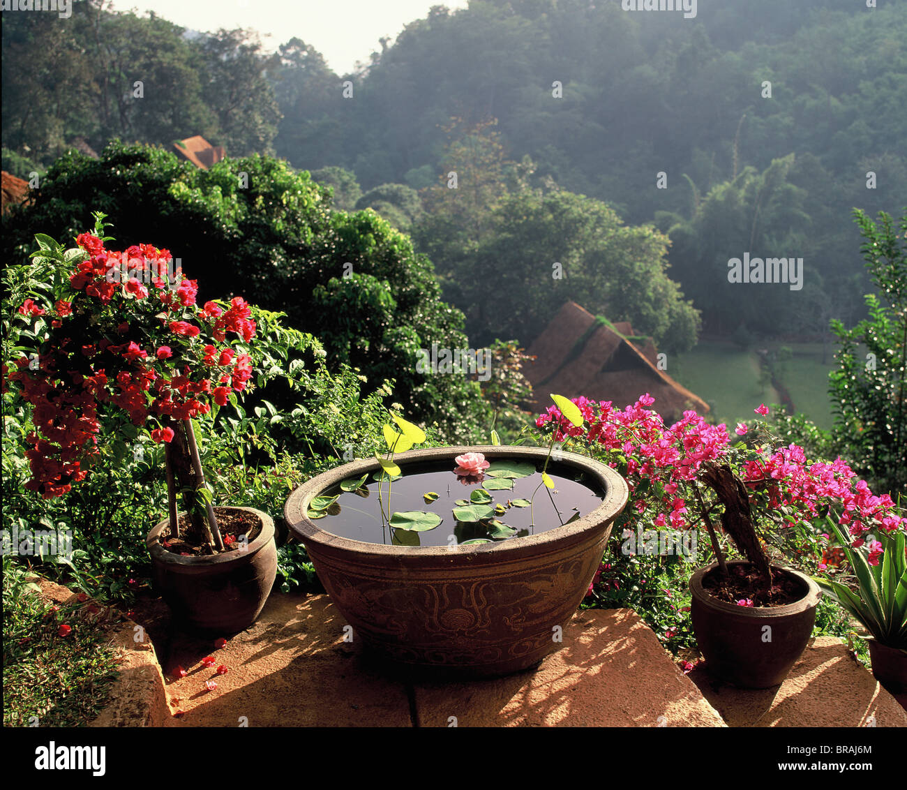 Freizeit Garten im Mae Sa Tal in der Nähe von Chiang Mai, Thailand, Südostasien, Asien Stockfoto