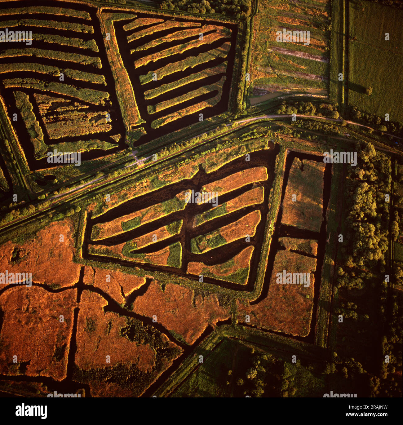 Luftaufnahme der Torfabbau, Westhay Moor, in der Nähe von Glastonbury, Somerset, England, Vereinigtes Königreich, Europa Stockfoto