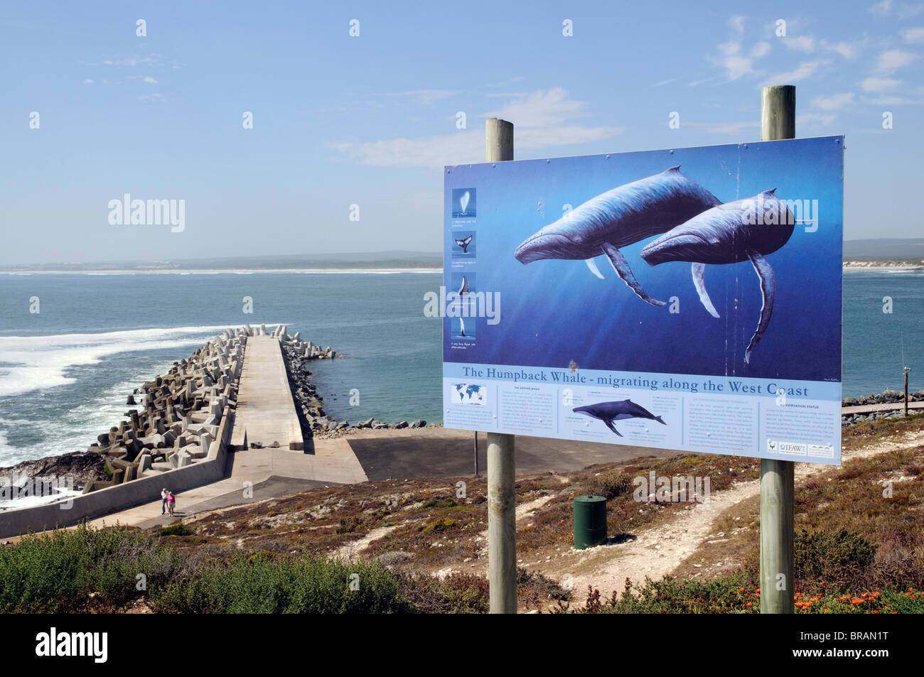 Küsten Fußweg und Informationen Brett zum Migrieren von Buckelwalen Yzerfontein an der Westküste Südafrikas anzeigen Stockfoto