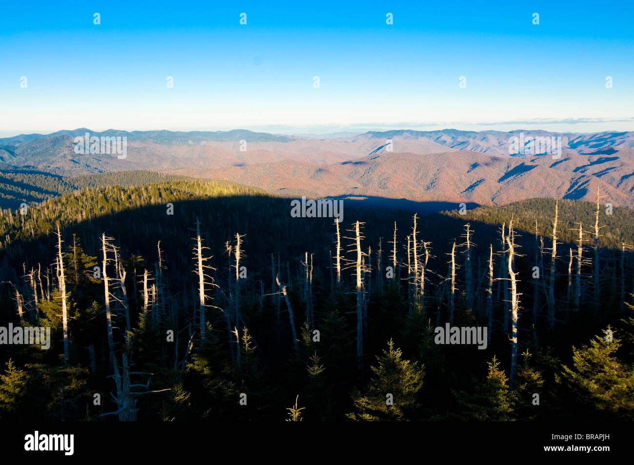 Blick über den Great Smoky Mountains National Park, UNESCO-Weltkulturerbe, Tennessee, Vereinigte Staaten von Amerika Stockfoto