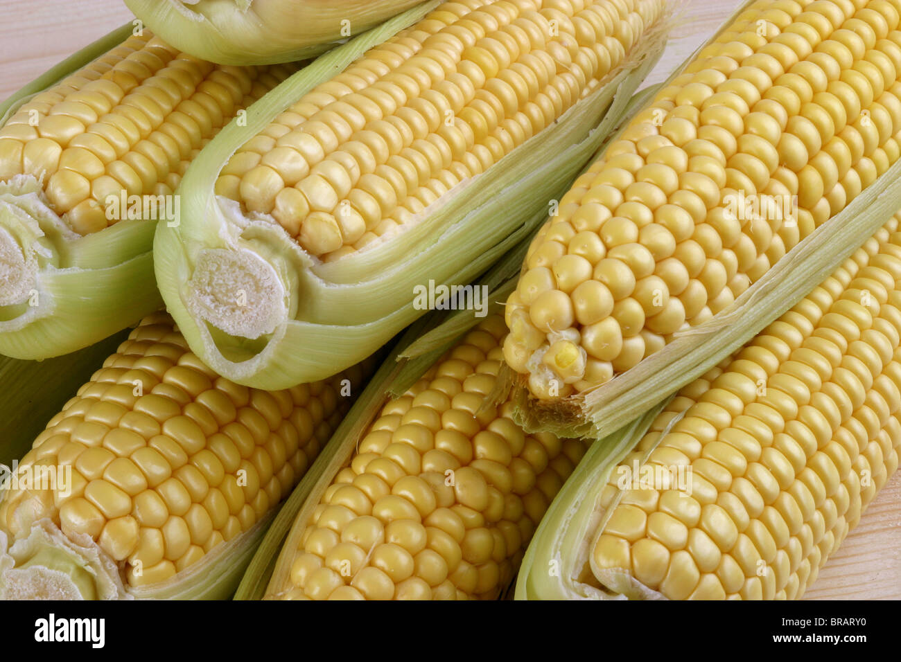 Maiskolben Stockfoto