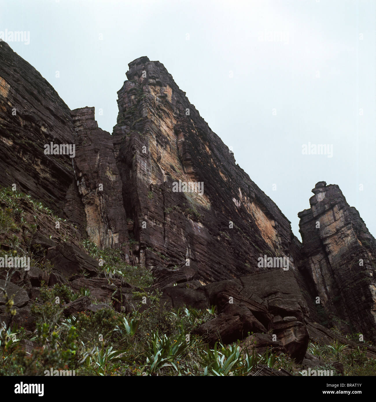 Aufstieg-Punkt zeigt die Chessman, Mount Kukenaam (Kukenan) (Cuguenan), Estado Bolivar, Venezuela, Südamerika Stockfoto