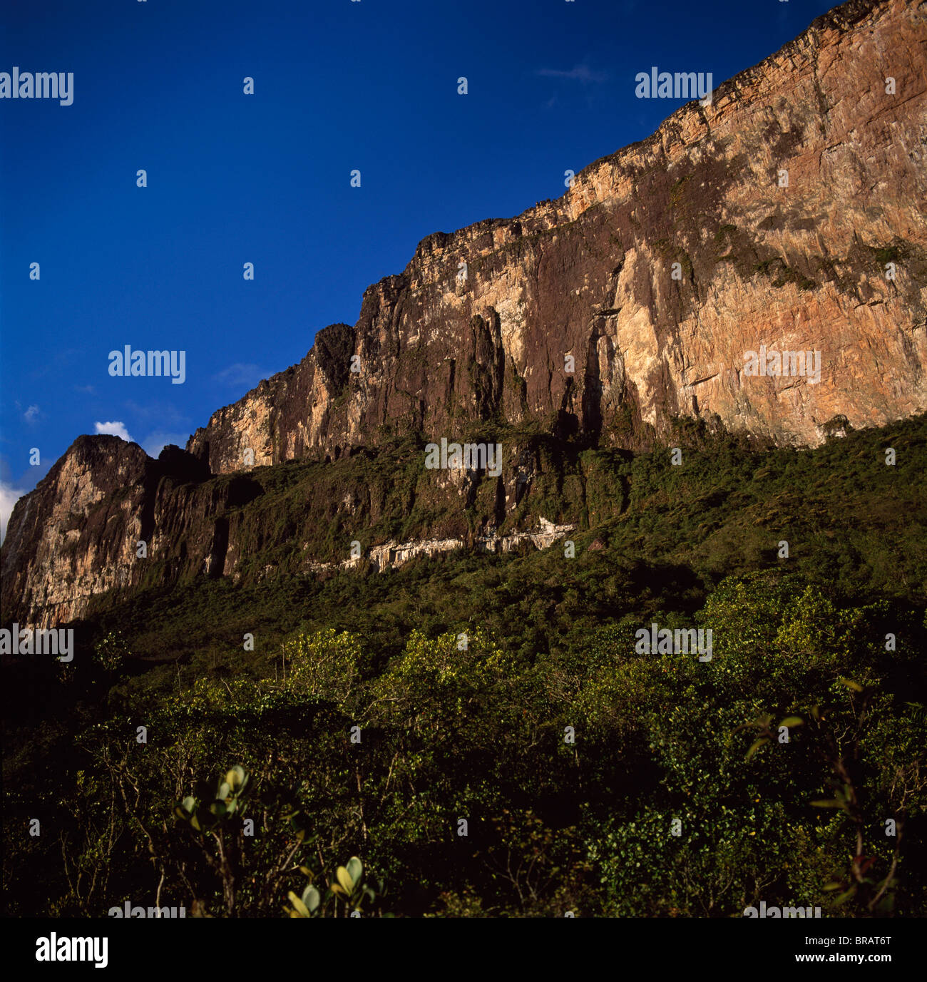 Aufstieg Felsvorsprung am südwestlichen Klippe, Mount Roraima (Cerro Roraima), Tepuis, Estado Bolivar, Venezuela, Südamerika Stockfoto