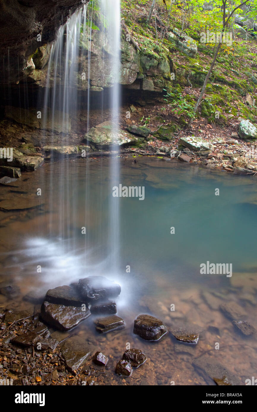 Bach entlang Big Piney Trail, Paddy Creek Wilderness, Mark Twain National Forest, Missouri Stockfoto