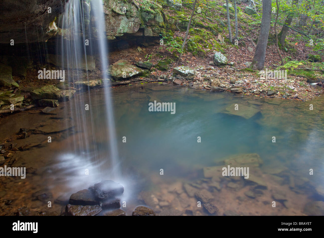 Bach entlang Big Piney Trail, Paddy Creek Wilderness, Mark Twain National Forest, Missouri Stockfoto