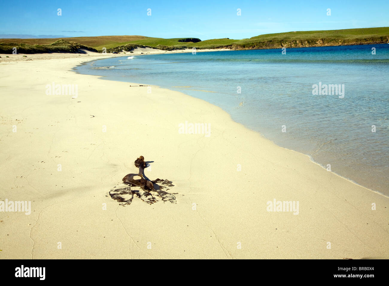 Sandstrand, Bay Scousburgh, Shetland-Inseln, Schottland Stockfoto