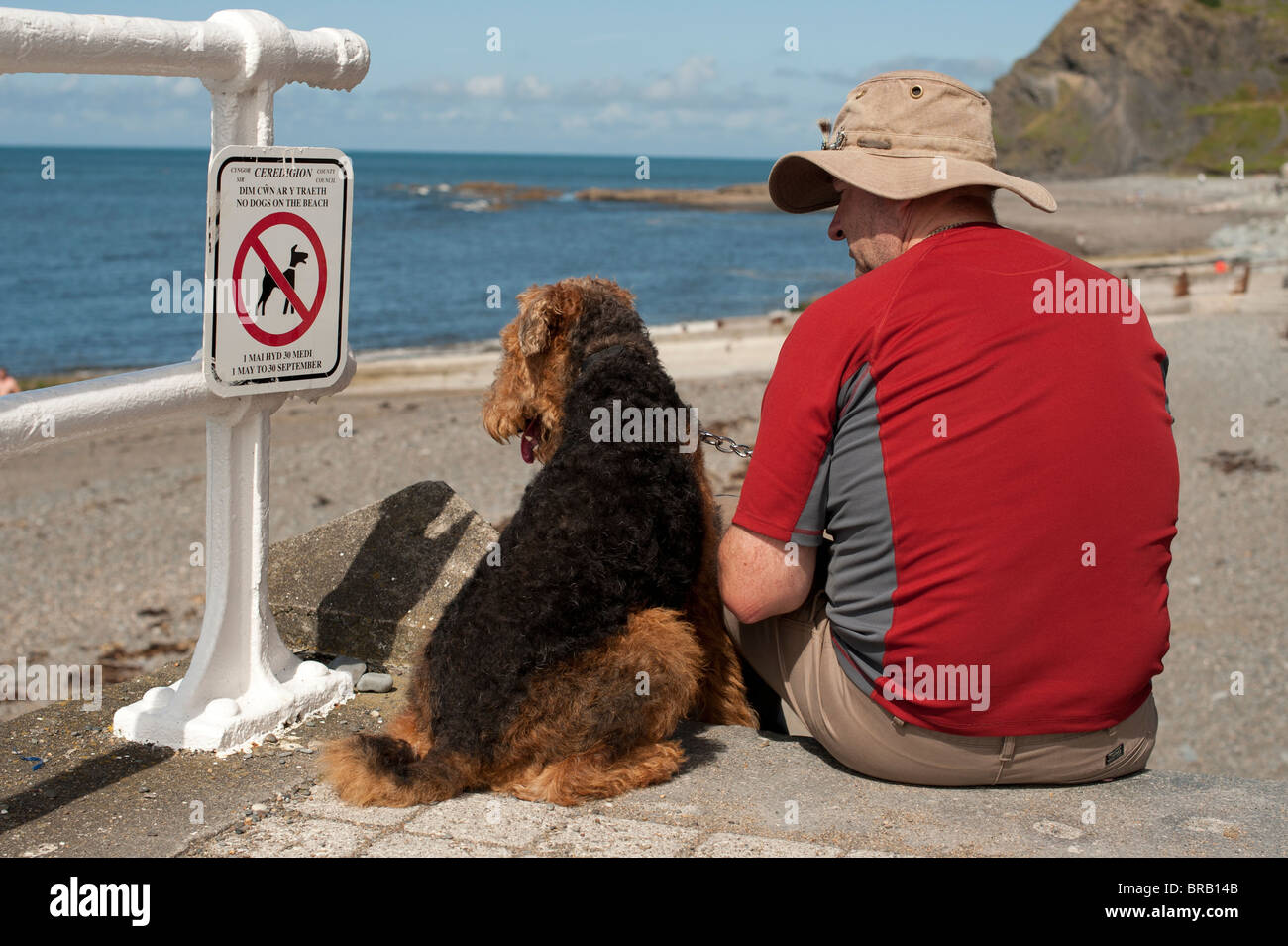 Ein Mann mit seinem Hund sitzt neben 'Hundeverbot am Strand' Zeichen Aberystwyth Wales UK Stockfoto