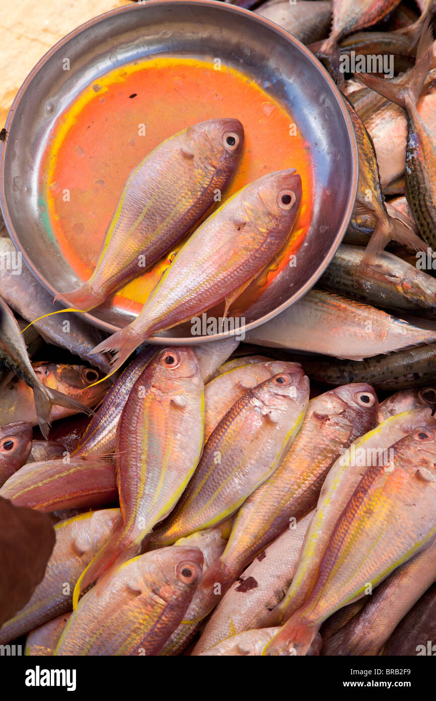 Fisch zum Verkauf auf dem Markt von Kundasang, Sabah, Malaysia Borneo Stockfoto