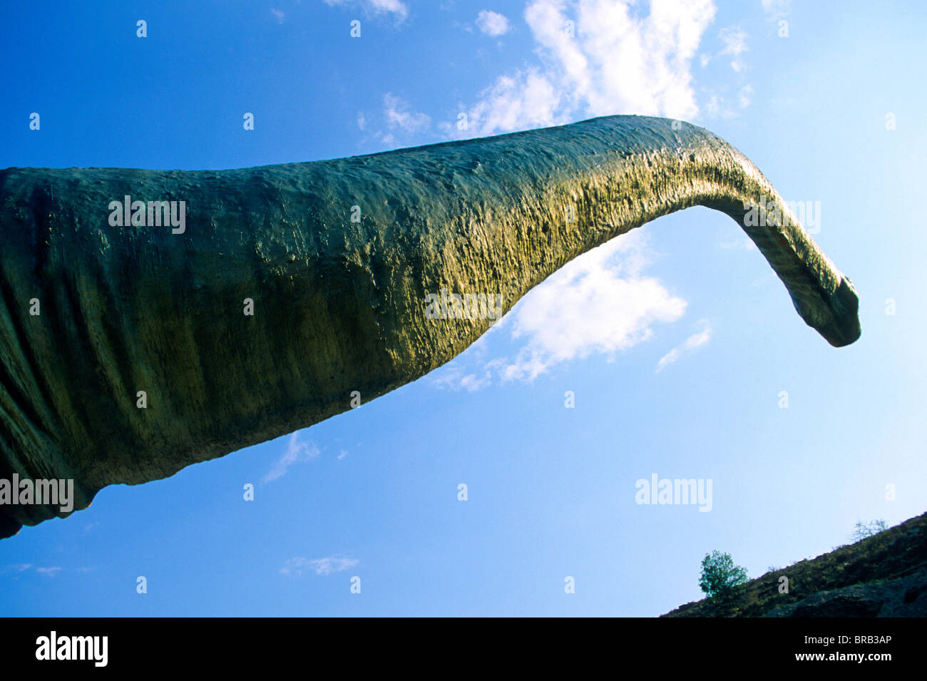 Sauropod Dinosaurier. Valdecevillo. La Rioja. Spanien. Der Weg des Hl. Jakobus Stockfoto