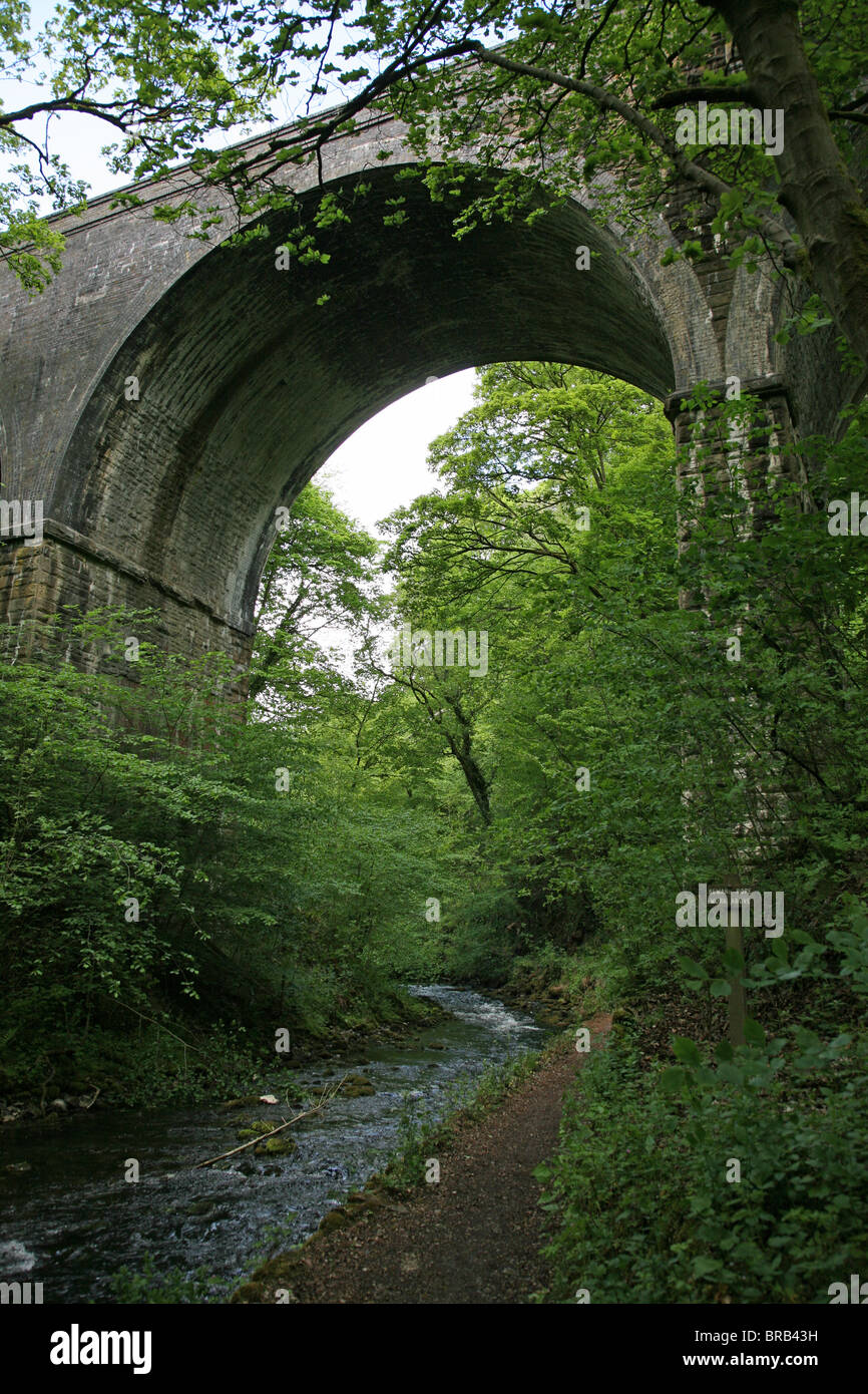 Fluss Wye und stillgelegten Eisenbahnviadukt bei Chee Dale, Derbyshire Peak District National Park, England, UK Stockfoto