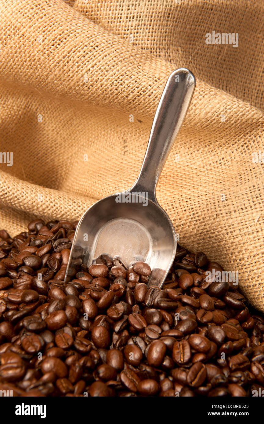 Einem Leinensack voller Frische Kaffeebohnen mit einer Metall-Kugel für Kaffee-Liebhaber. Stockfoto